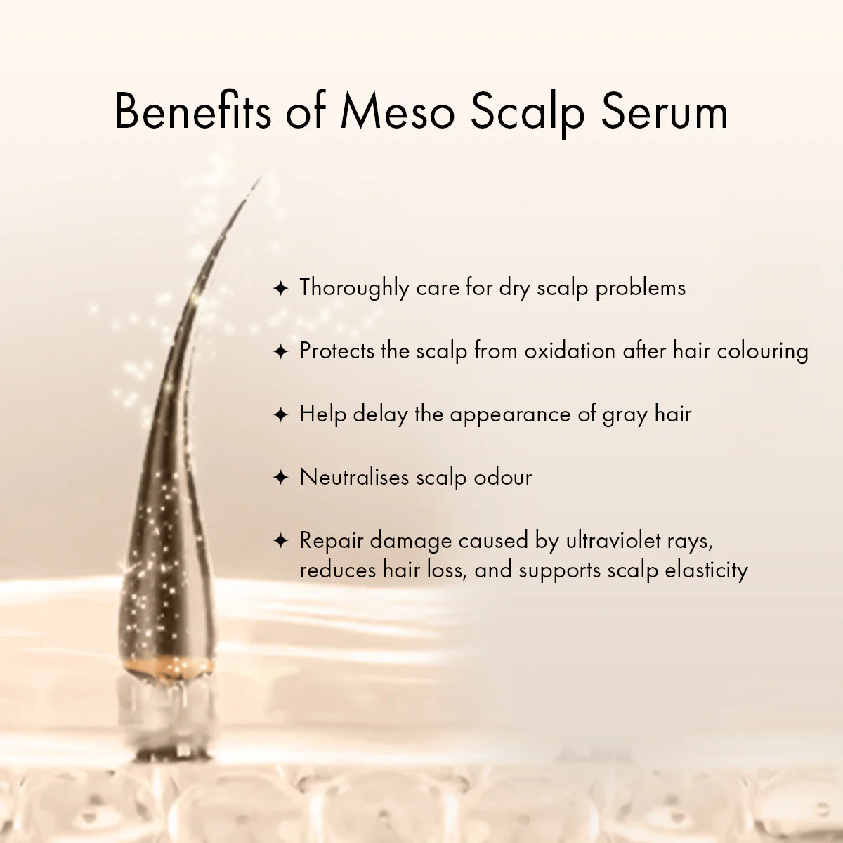 The Mesobrush Solo Care